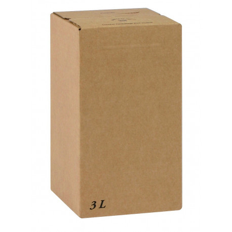 Carton décor Kraft Uni 3 Litres - Carré