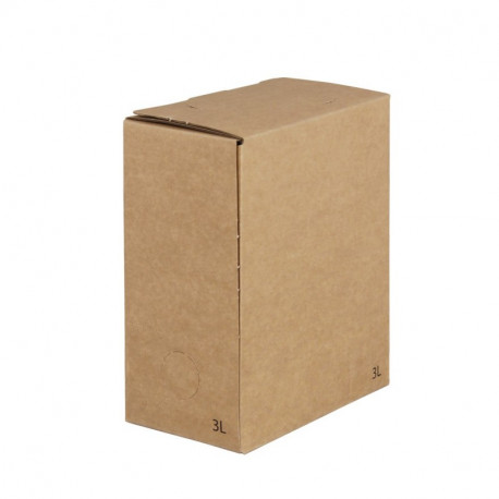 Carton décor Kraft Uni 3 Litres - Rectangulaire