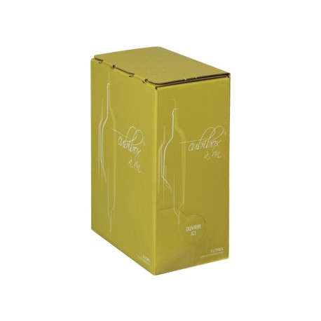 Carton décor Vinitude vert 3 Litres Kraft Liner