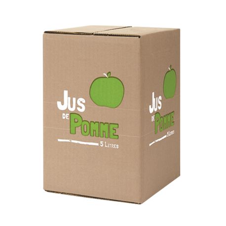 Carton décor générique Jus de Pommes kraft 5L 