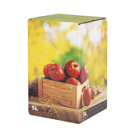 Carton décor générique Jus de pommes verni 5L